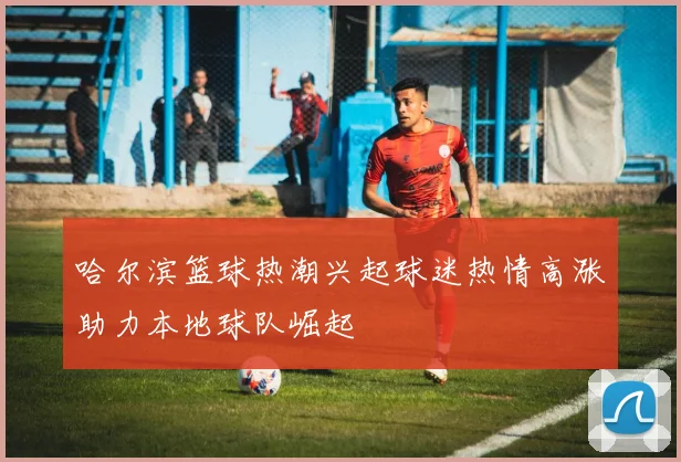 哈尔滨篮球热潮兴起球迷热情高涨助力本地球队崛起