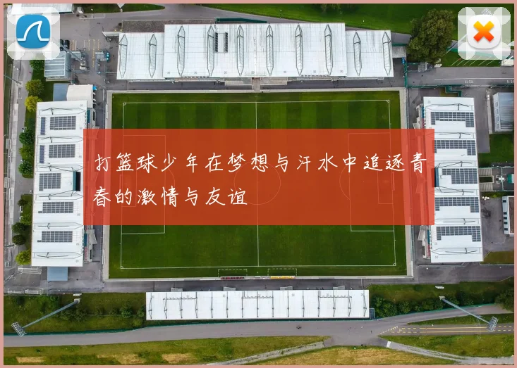 打篮球少年在梦想与汗水中追逐青春的激情与友谊
