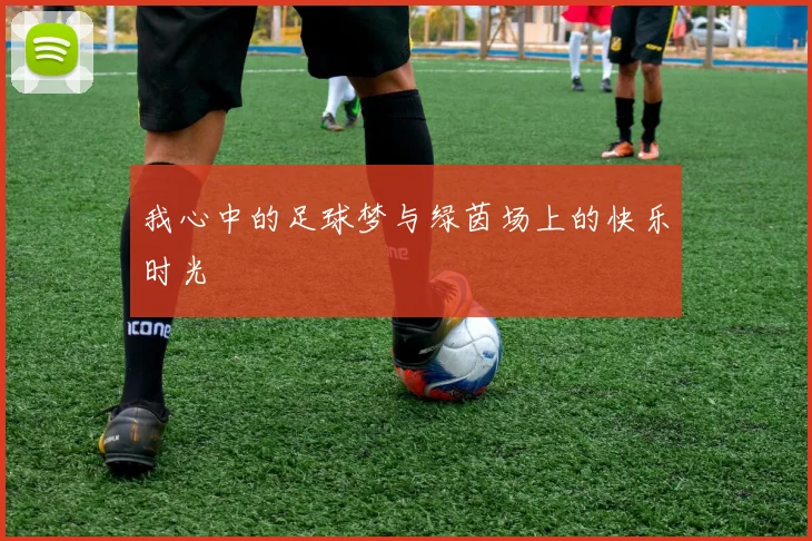 我心中的足球梦与绿茵场上的快乐时光