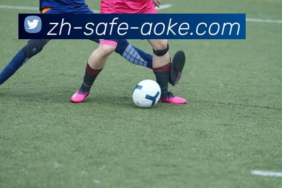 足球中心平台生态图